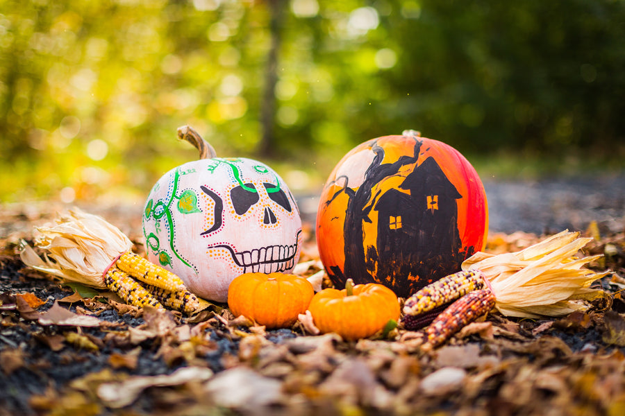 Six reasons why Aalgo is the best Halloween gift for any parent
