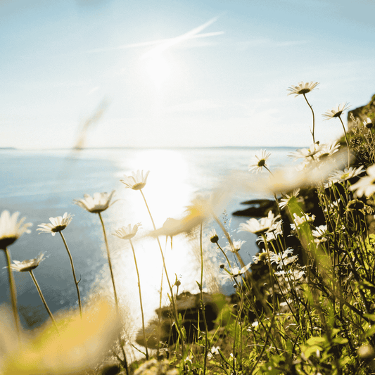 Psoriasis and Stress