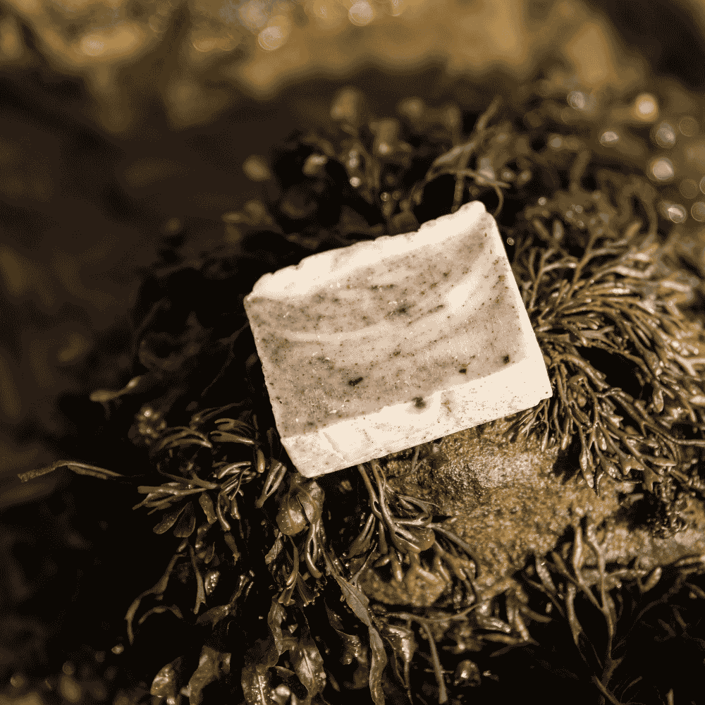 Atlantic Seaweed Soap Bar