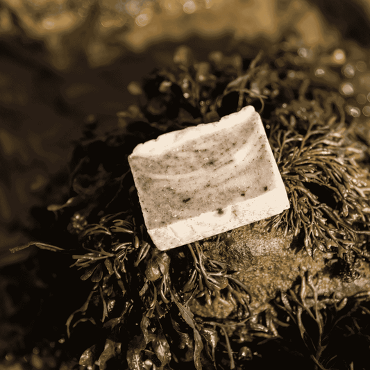 Atlantic Seaweed Soap Bar