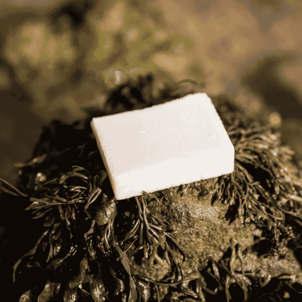 Olive Oil Facial Cleansing bar