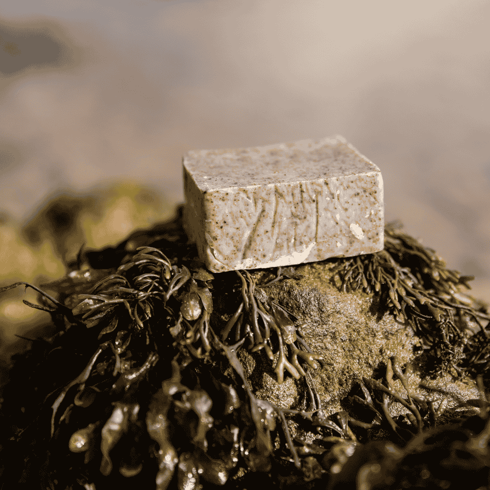 Seaweed Shampoo bar