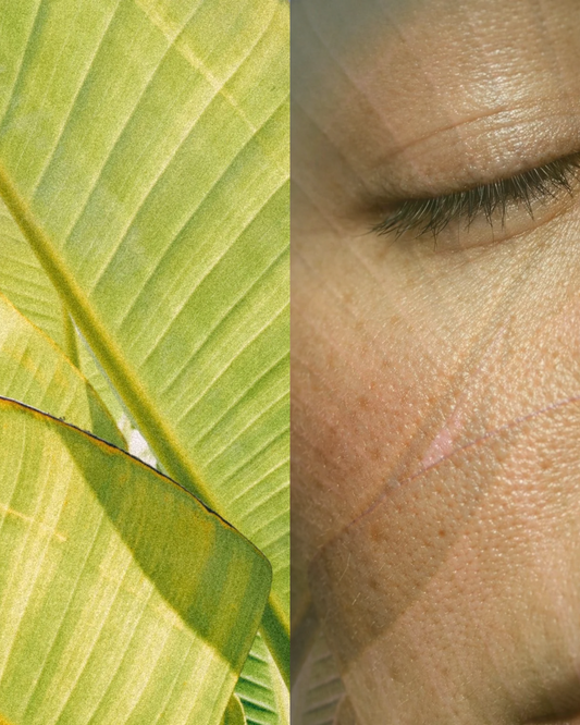 Microbiome Gardening: Why Seaweed is the Fertiliser Your Skin Bacteria Needs