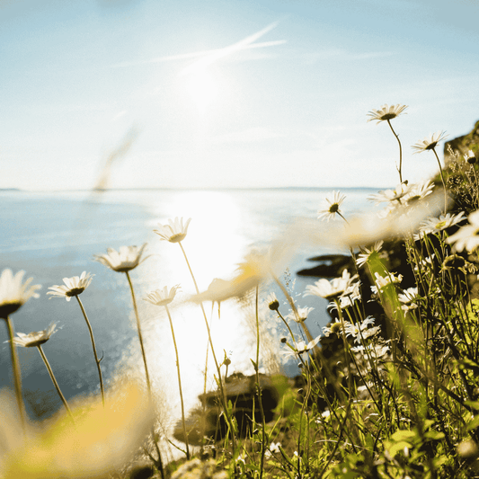 Psoriasis and Stress