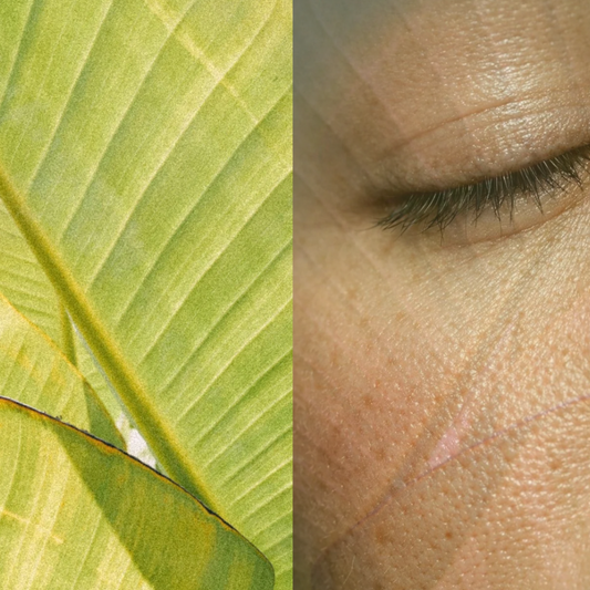 Microbiome Gardening: Why Seaweed is the Fertiliser Your Skin Bacteria Needs