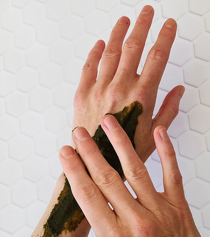 Aalgo Organic Atlantic Seaweed Skincare