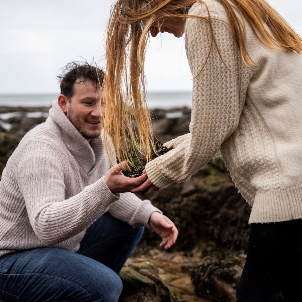 Aalgo Organic Atlantic Seaweed Skincare